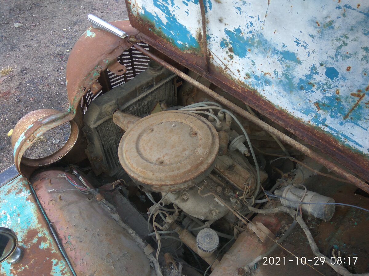 IMG_20211029_081758.jpg