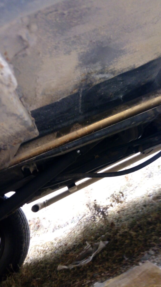 IMG_20211226_113646.jpg