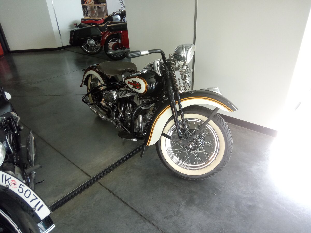 IMG_20230728_145157.jpg