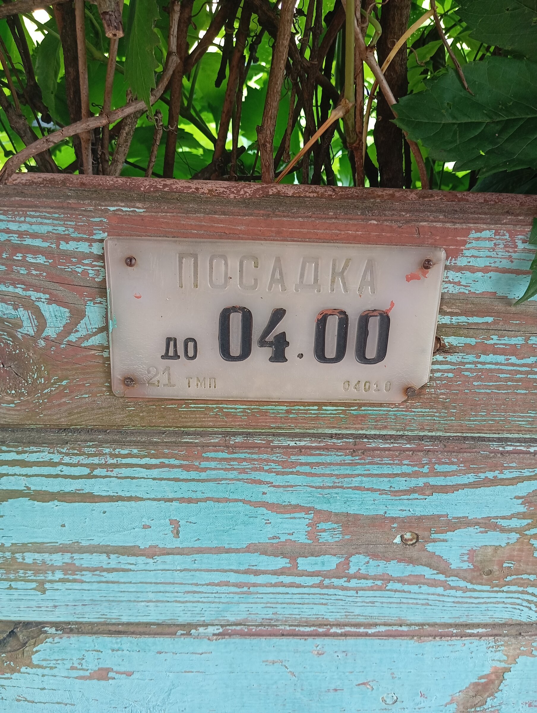 IMG_20260623_134101.jpg