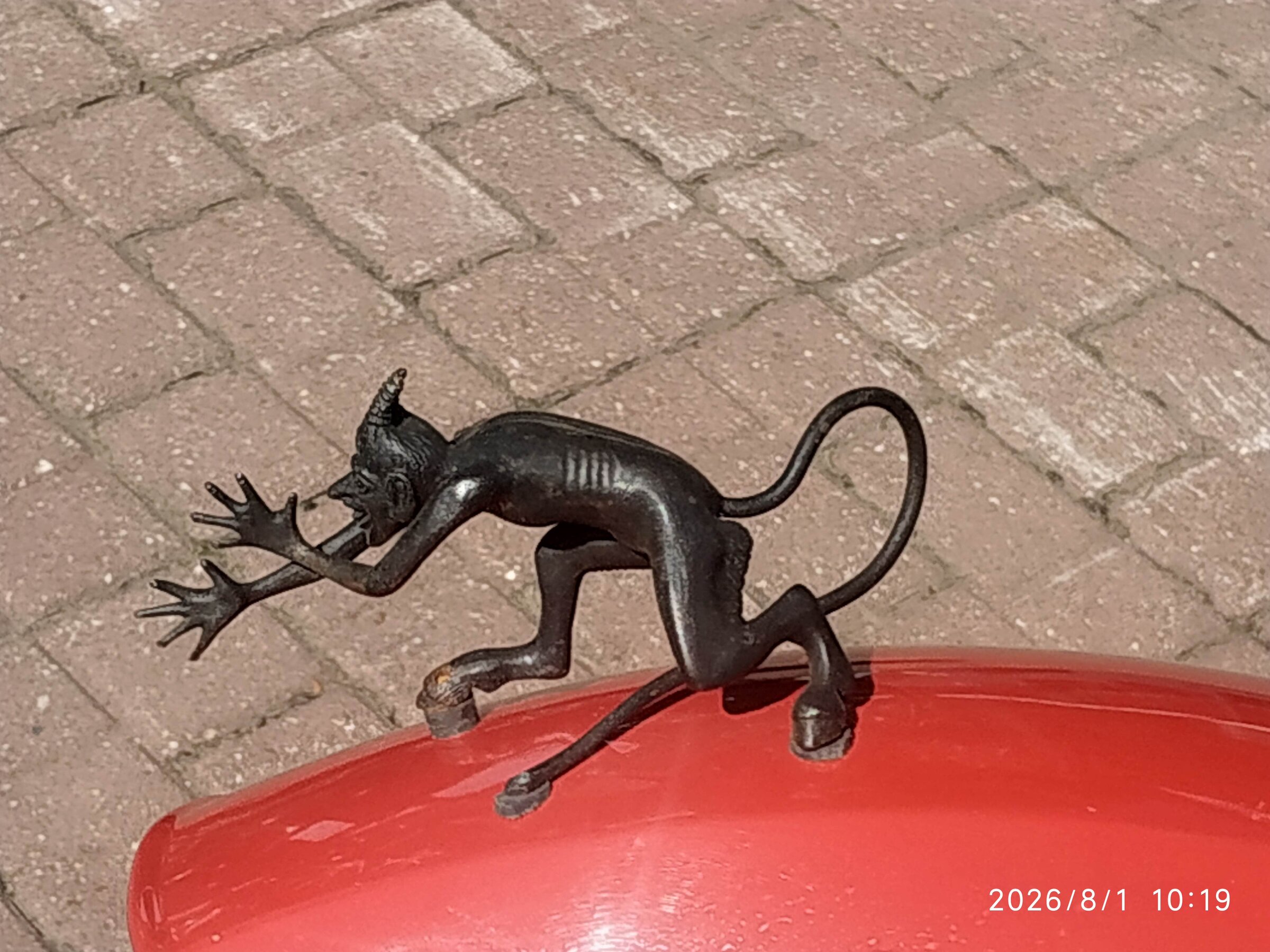 IMG_20260801_101947.jpg