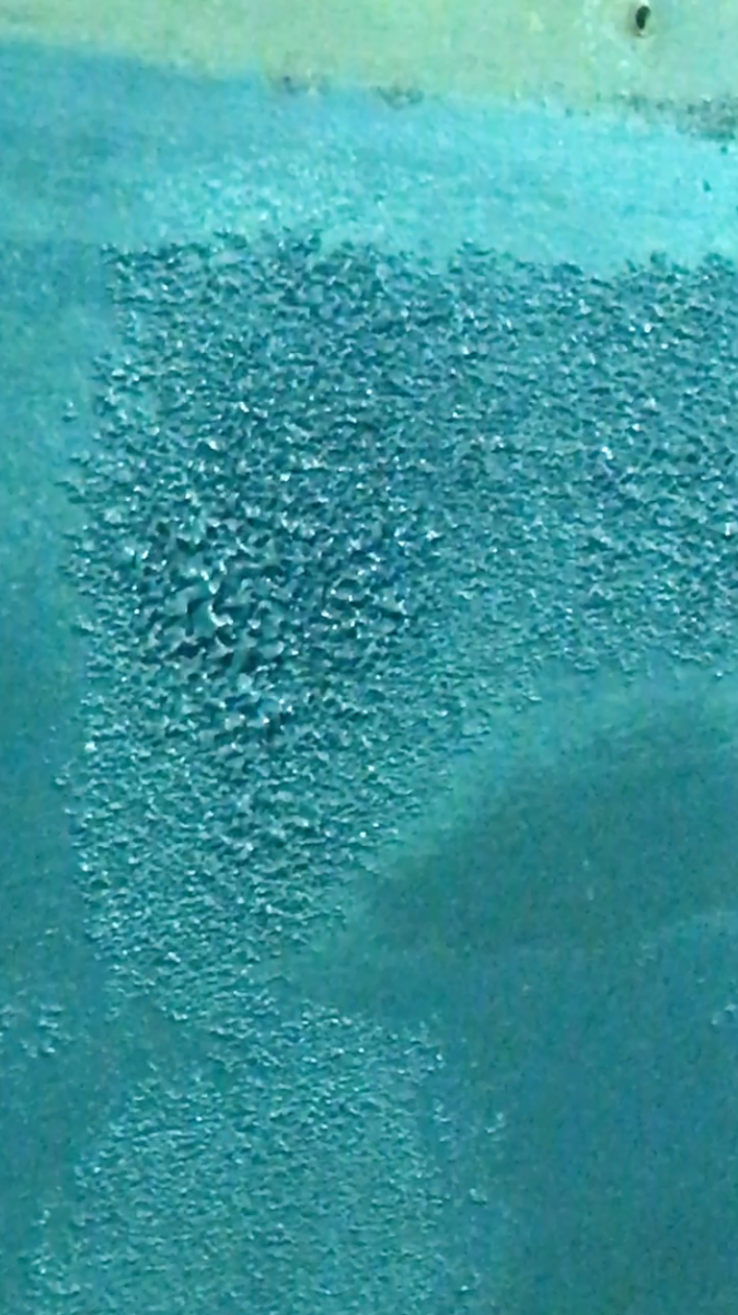 IMG_4344.PNG