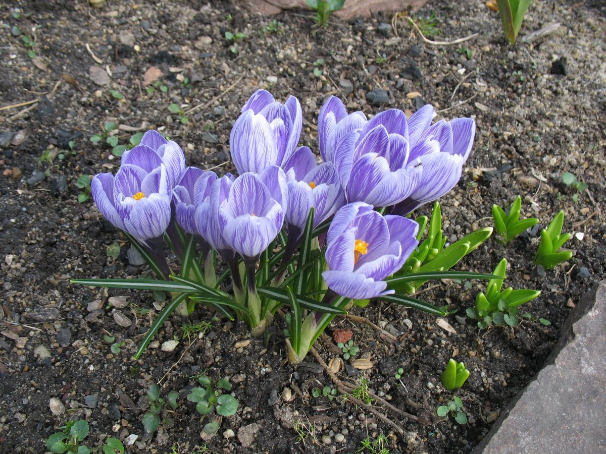 IMG_5359.JPG