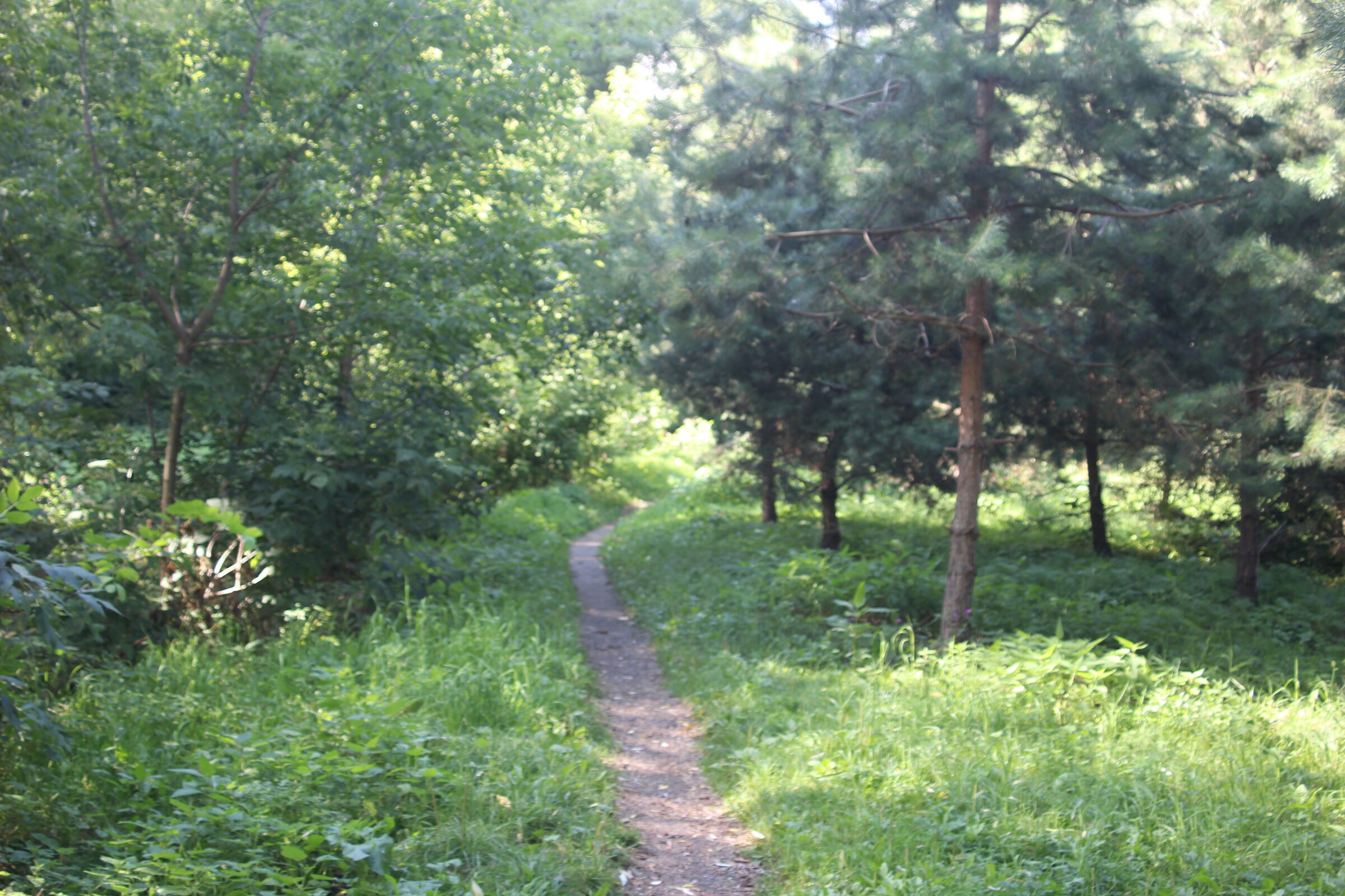 IMG_6998.JPG