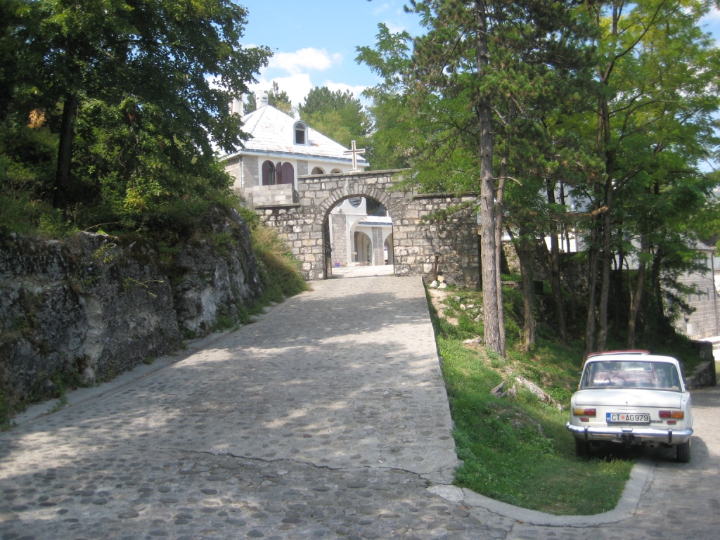IMG_7482.JPG