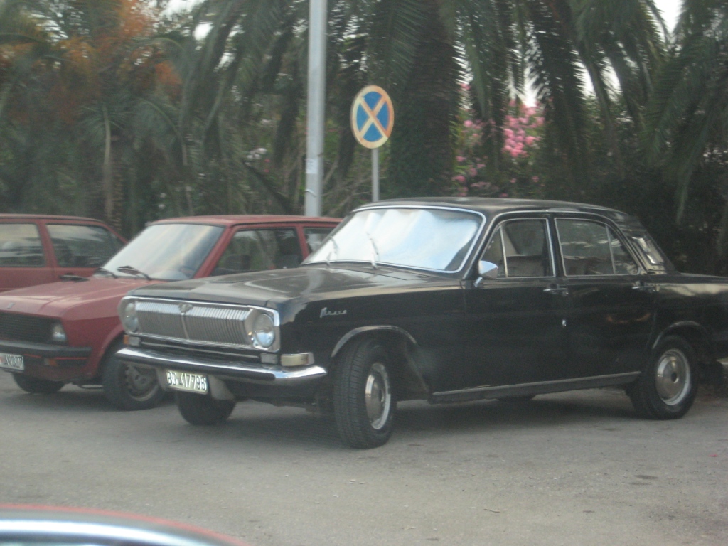IMG_7557.JPG