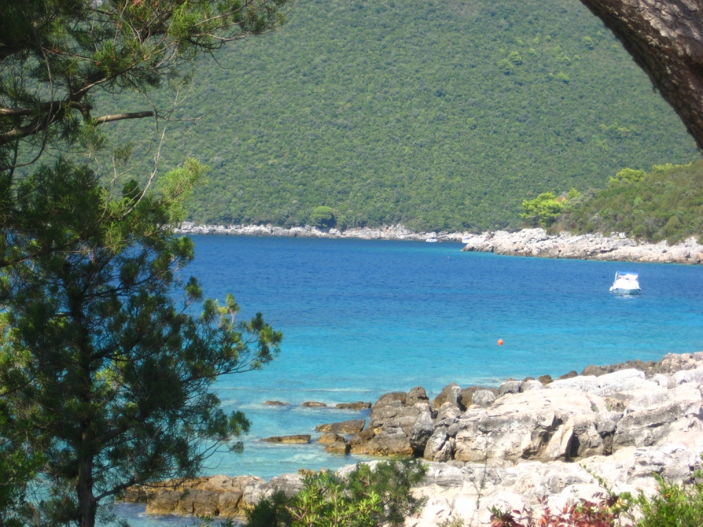IMG_7917.JPG