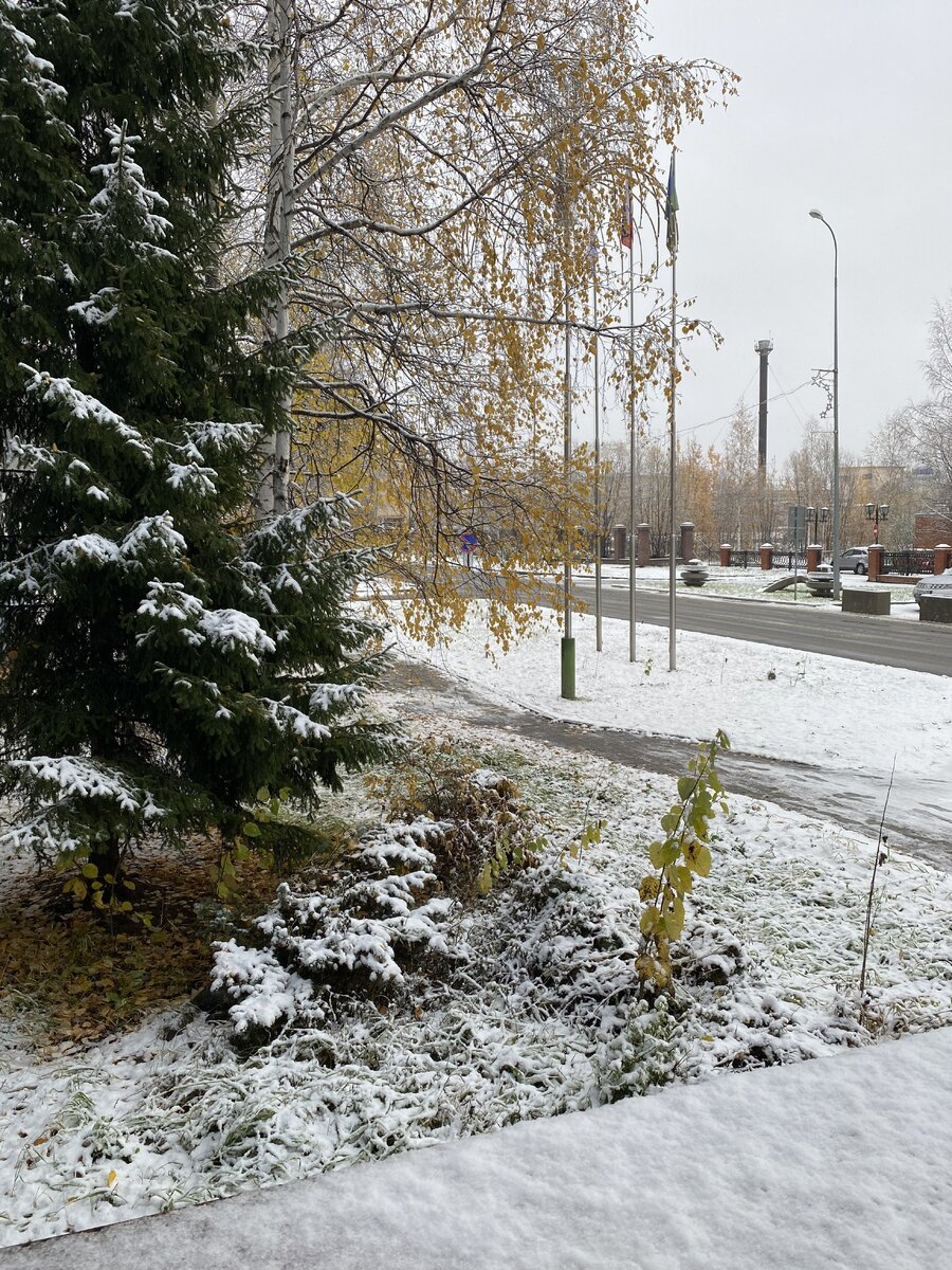 IMG_8877.jpeg