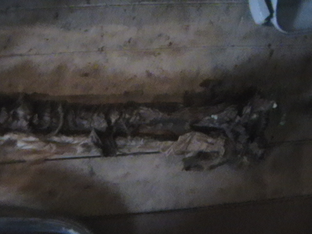 IMGA0331.JPG