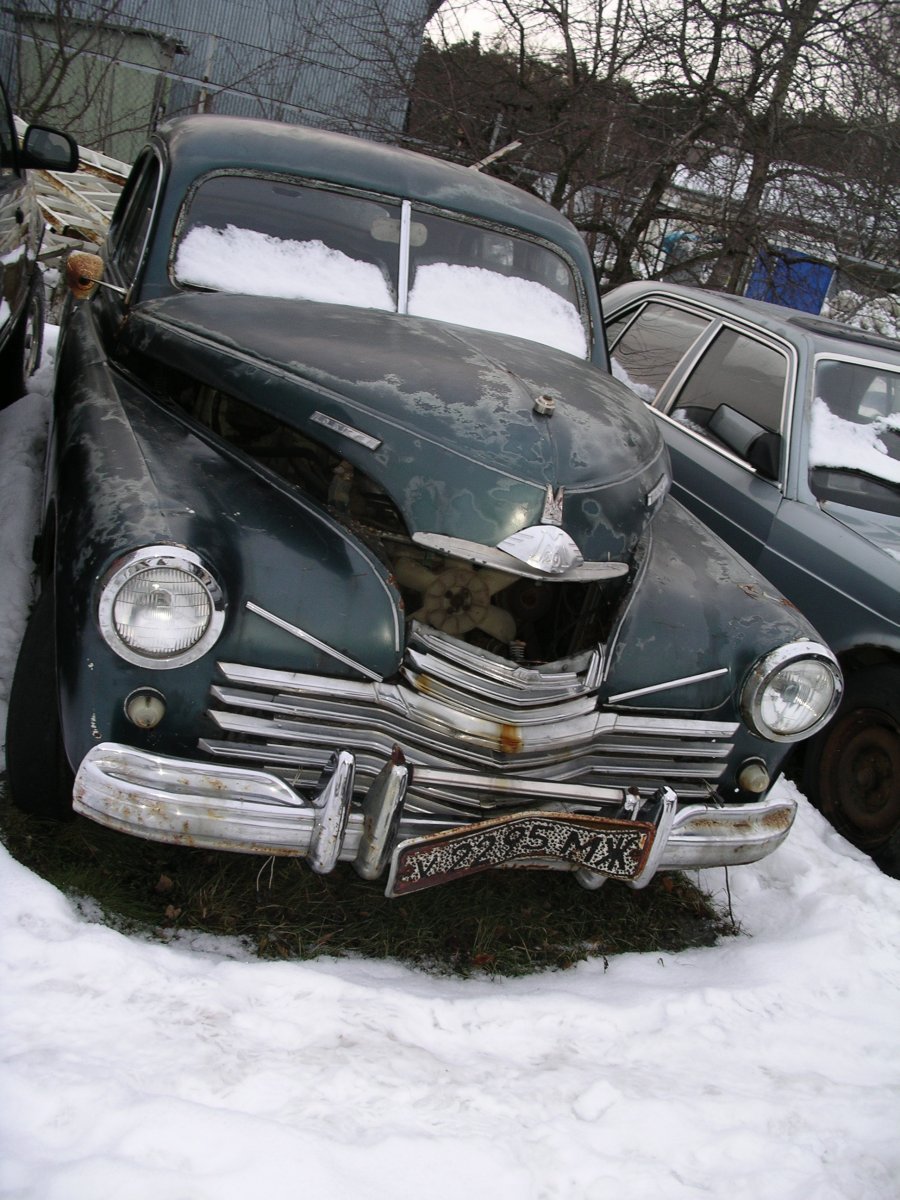 IMGP0150.JPG