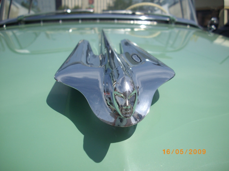 IMGP2421.JPG