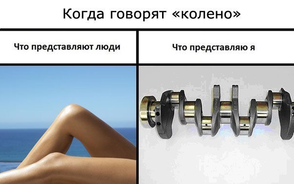 колено.jpg
