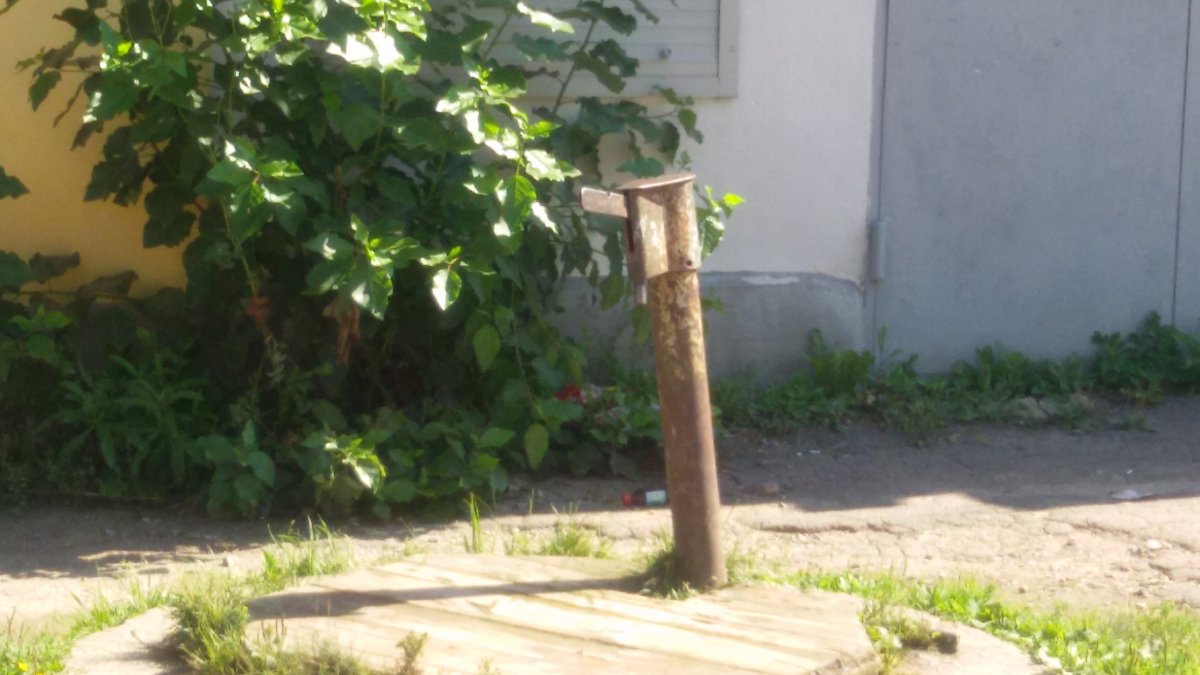 колонка.jpg