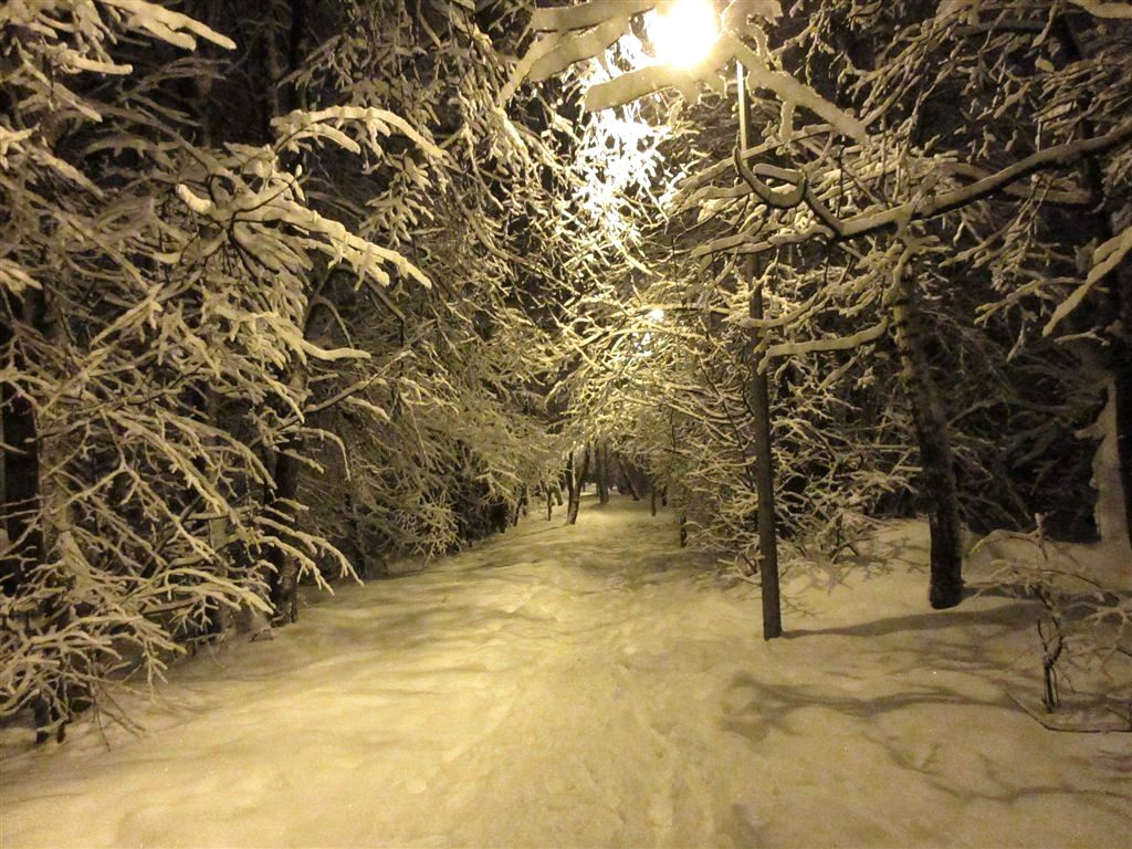 Копия IMG_1143.JPG