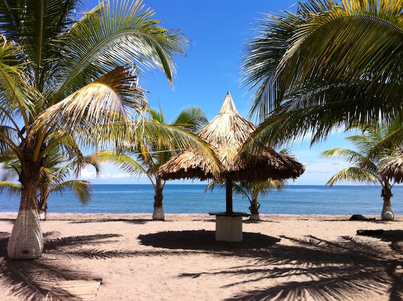 La ceiba.jpg