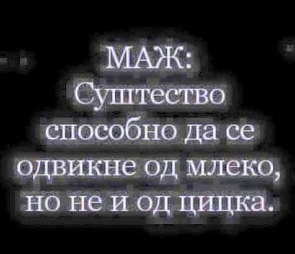 Maj003b7.jpg