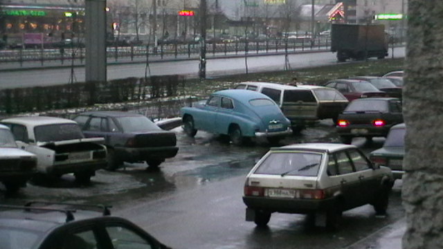 моя красавица.JPG