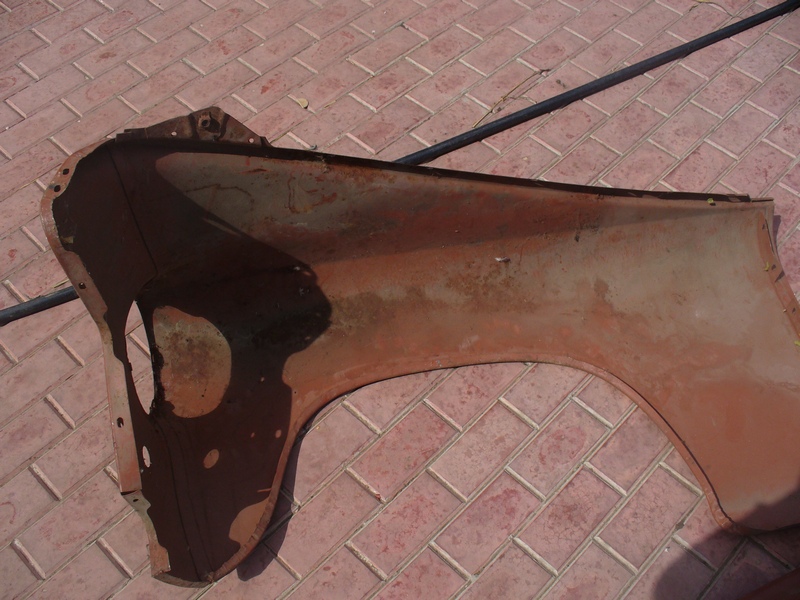 P1000670.JPG