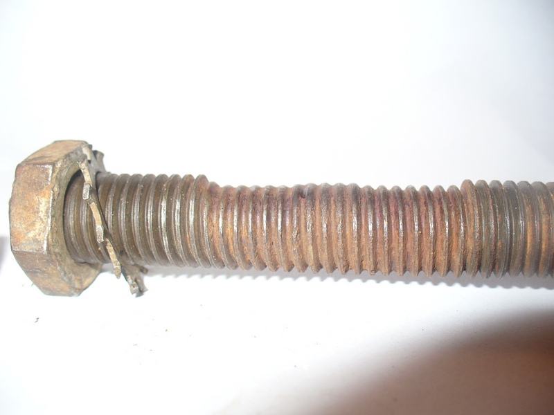 P1000720.JPG