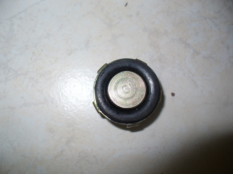 P1000945.JPG