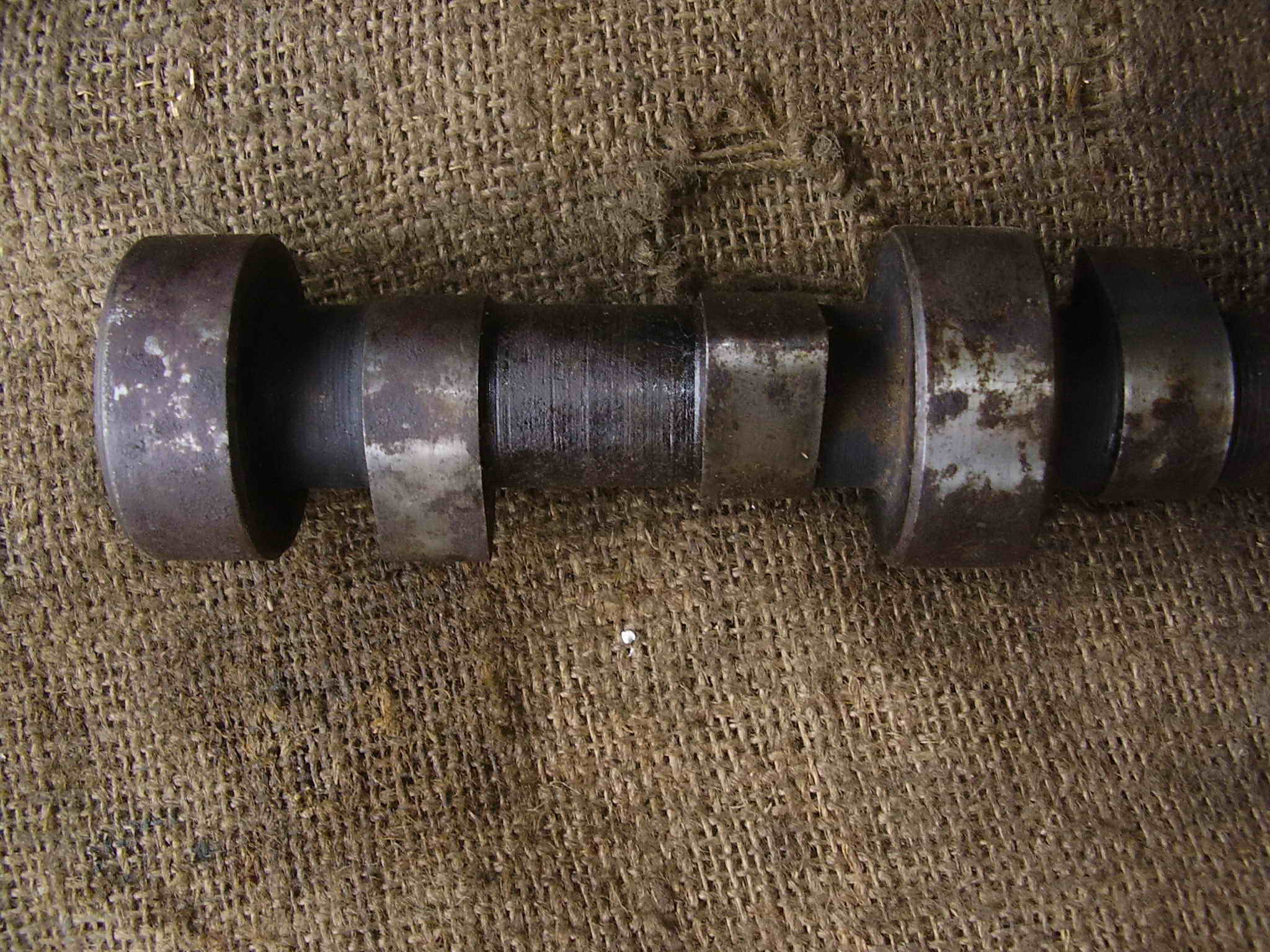 P1010007.jpg