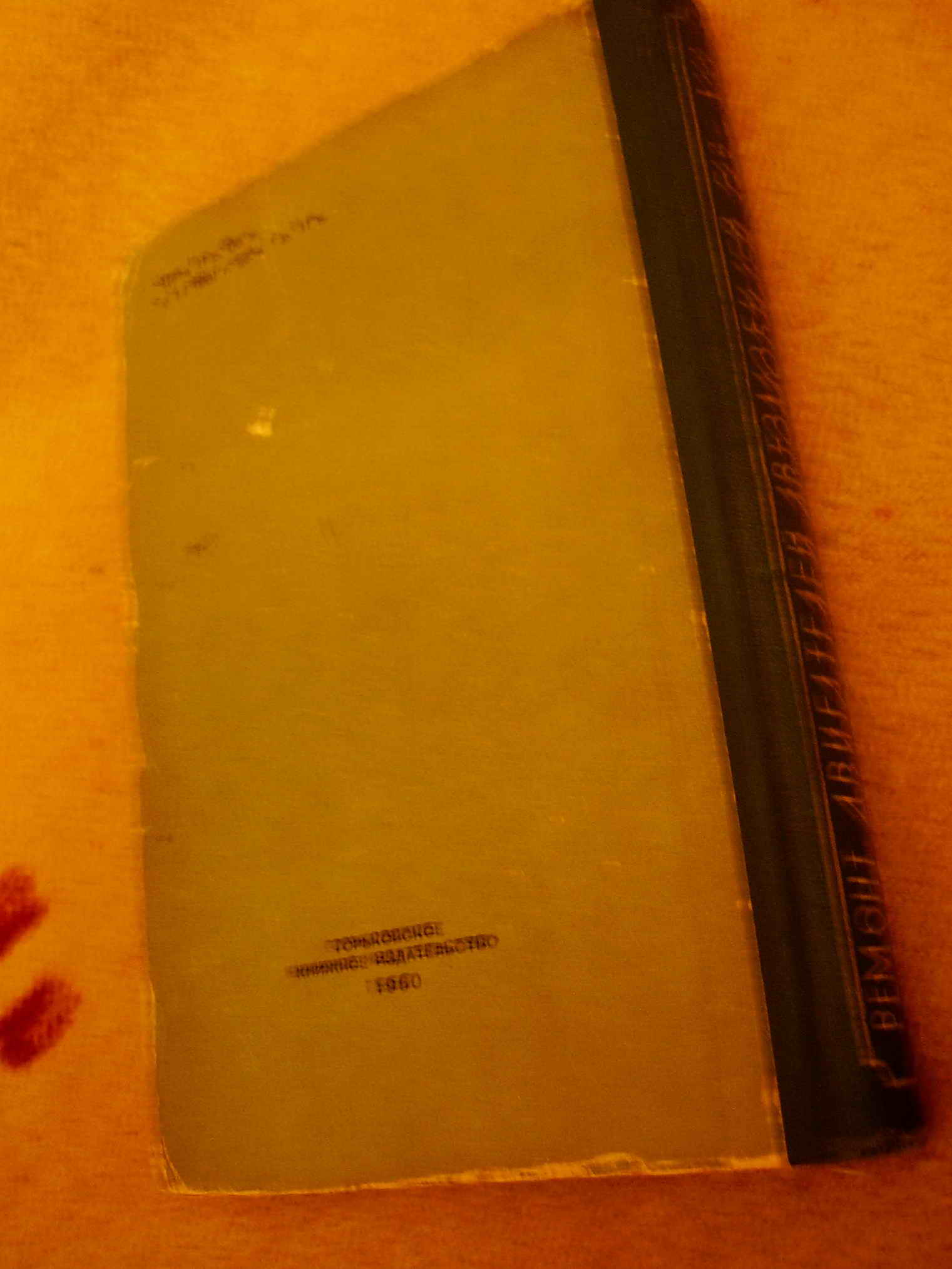 P1010036.JPG