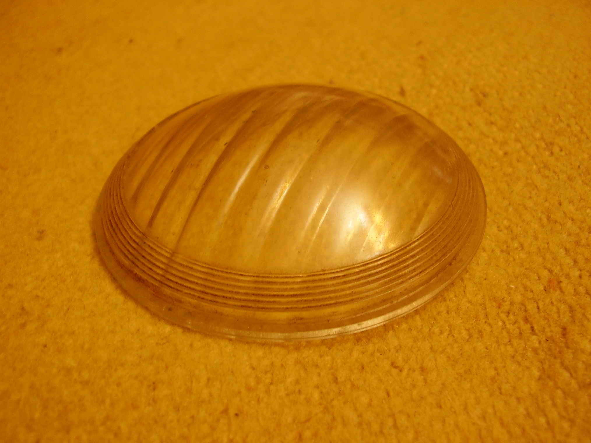 P1010040.JPG