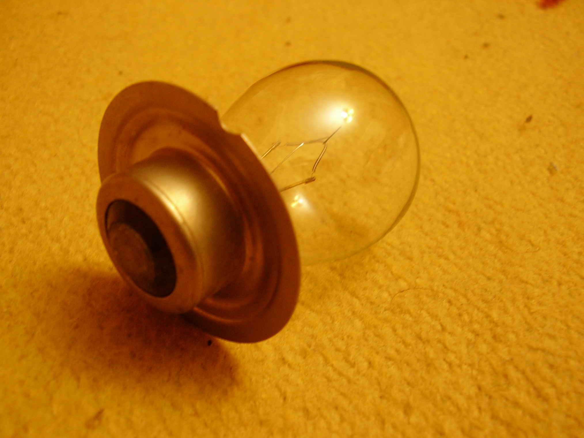 P1010048.JPG