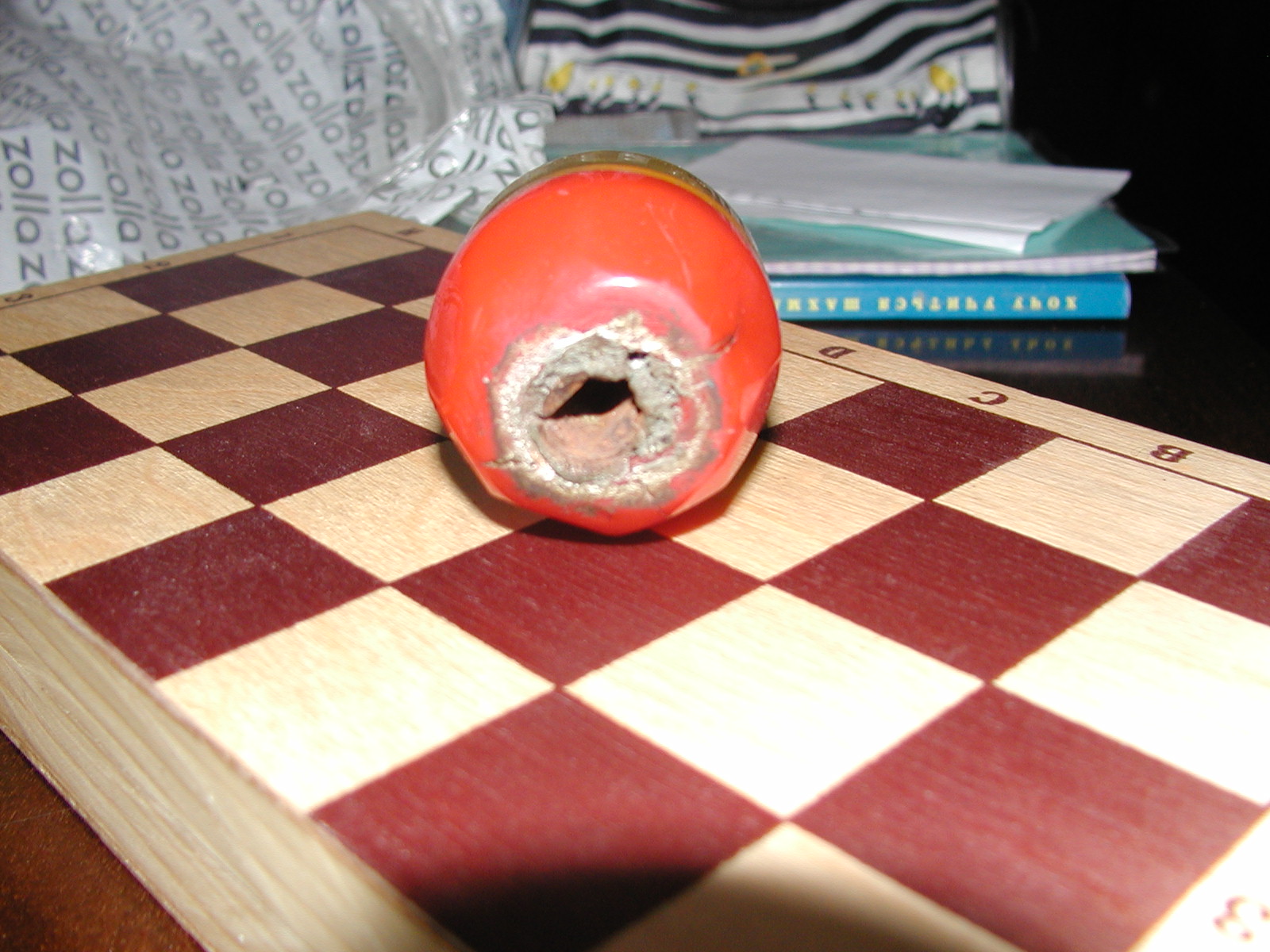 P1010388.JPG
