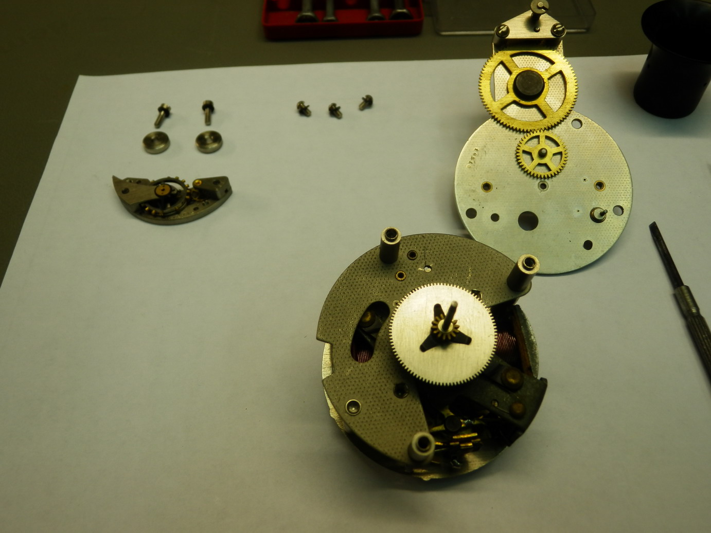 P1100283_resize.JPG