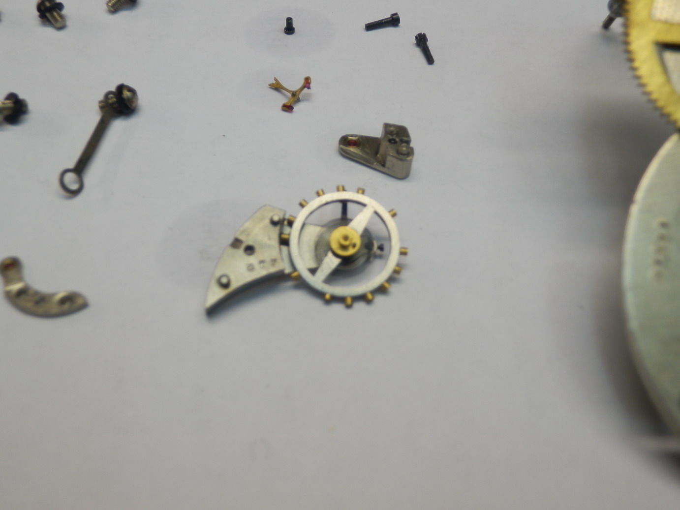 P1100288_resize.JPG