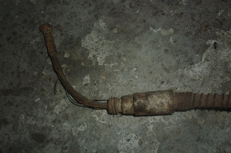 P11307422.JPG