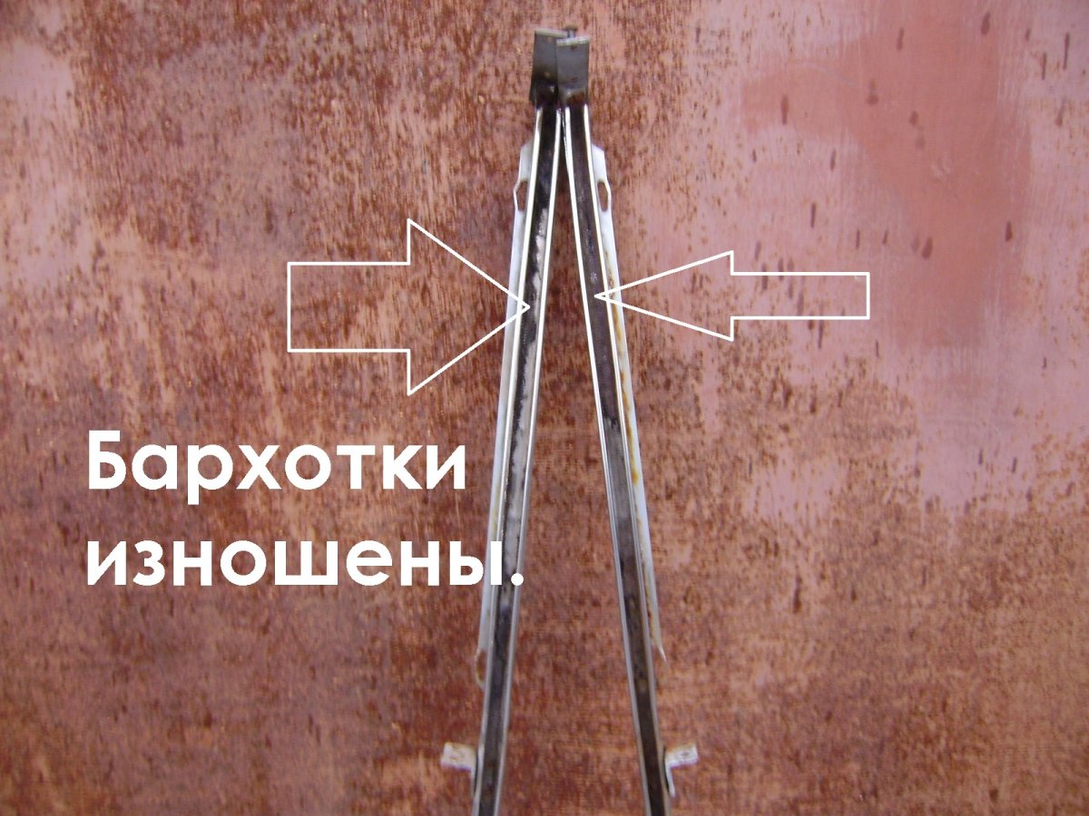 P1181330.JPG
