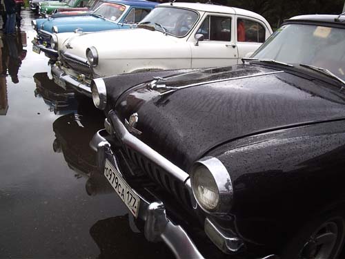 P1315156.jpg