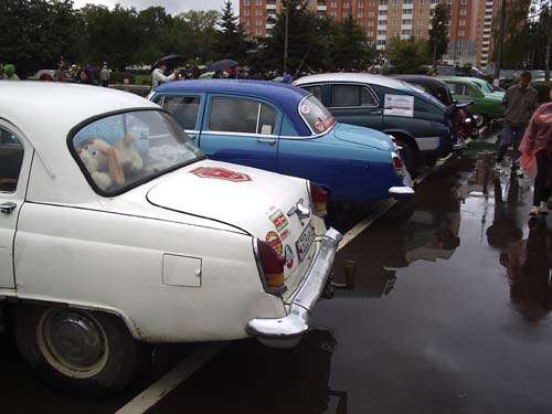 P1315159.jpg