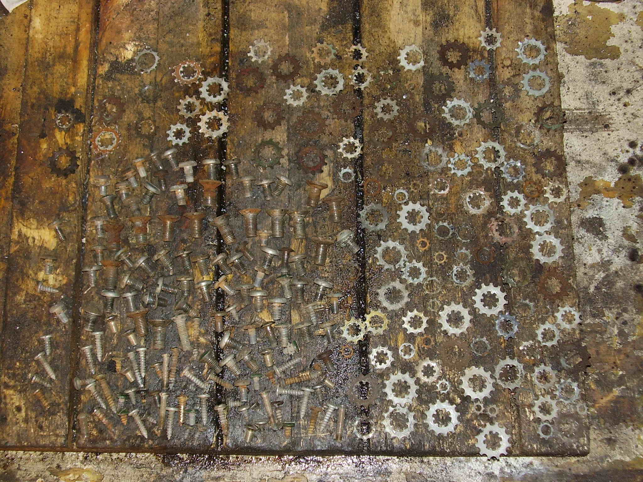 P2090001.jpg