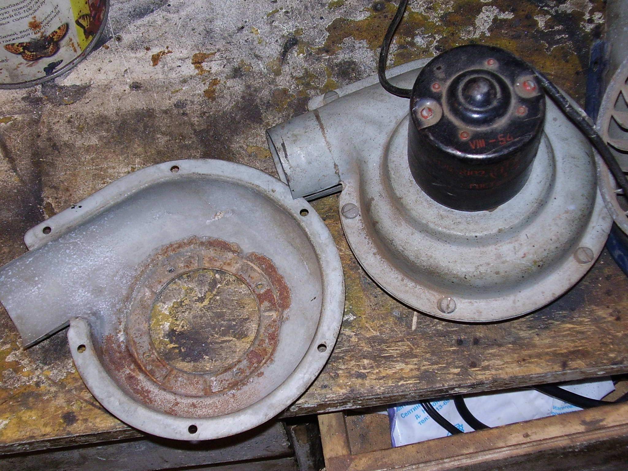 P5310023.jpg