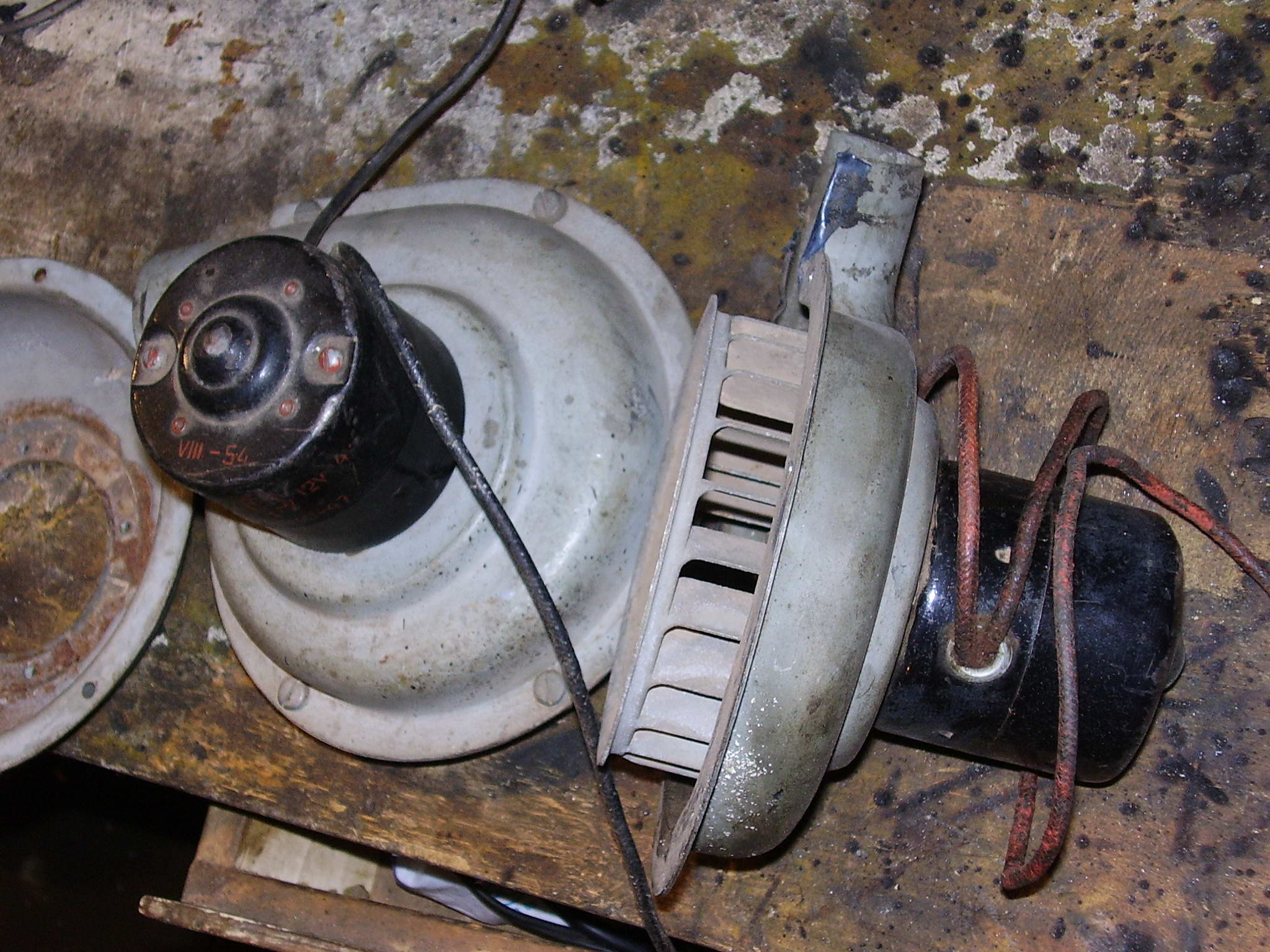 P5310025.jpg