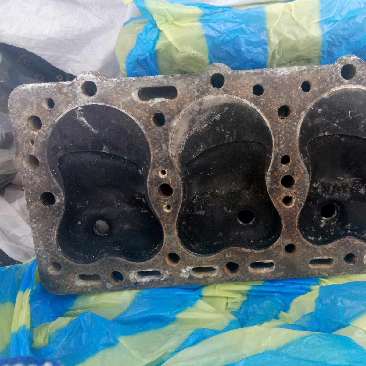 P80205-143519.jpg