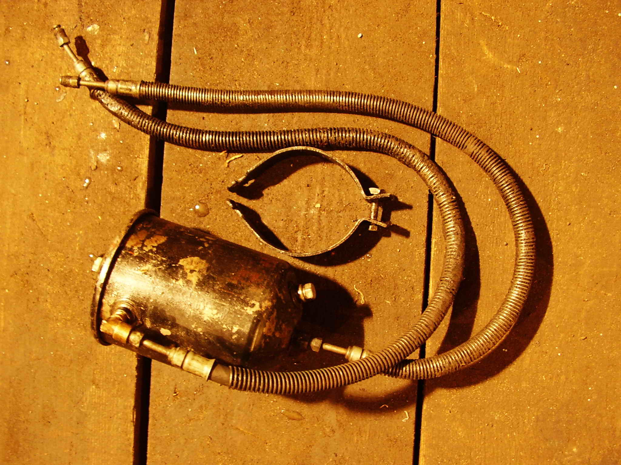 P8240098.JPG