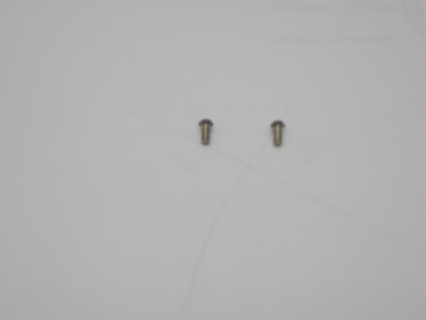 PA030080_resize.JPG