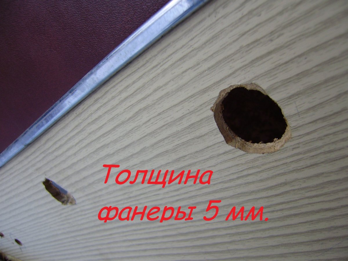 PA131311.JPG