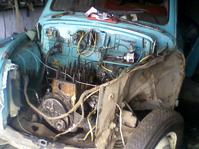 Photo-0080Ир.дм.jpg