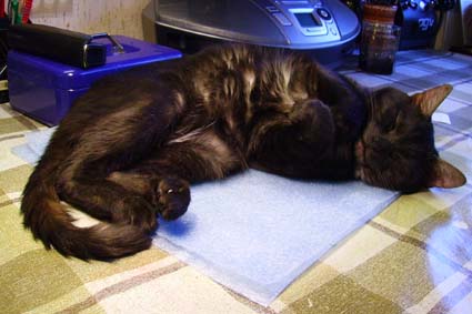 PICT0486.jpg уменьш.jpg