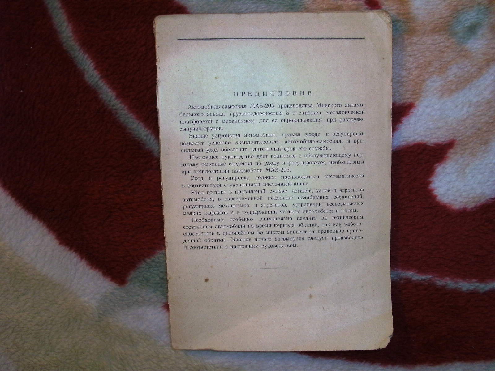 PICT7969.JPG