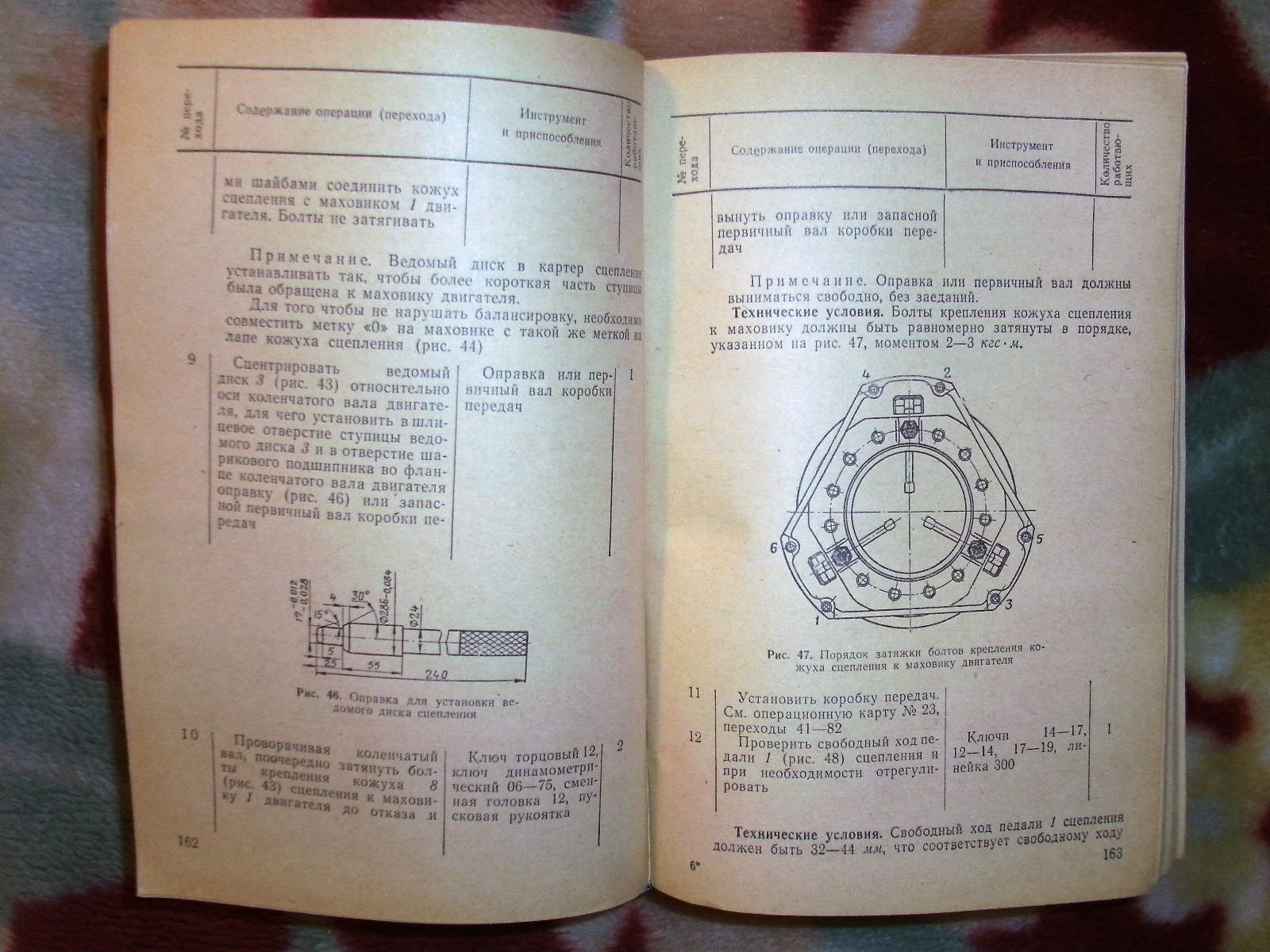PICT8246.JPG
