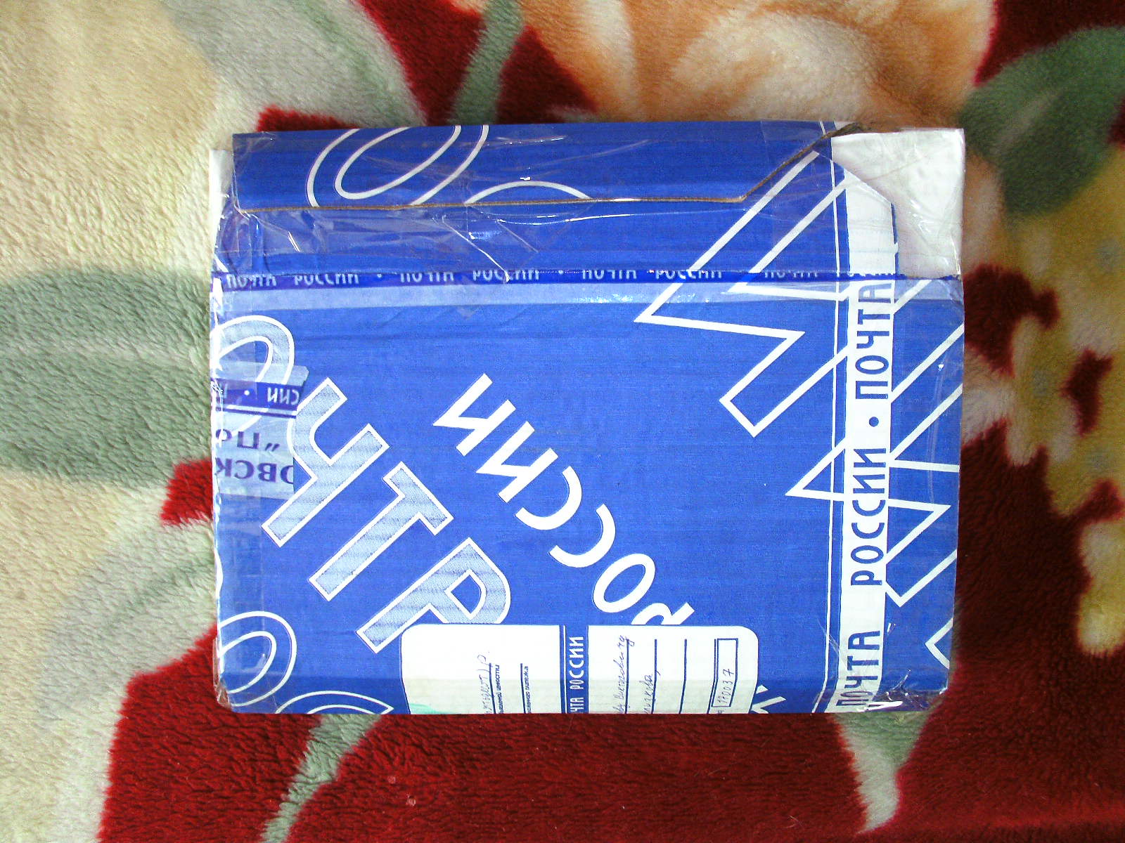 PICT8578.JPG