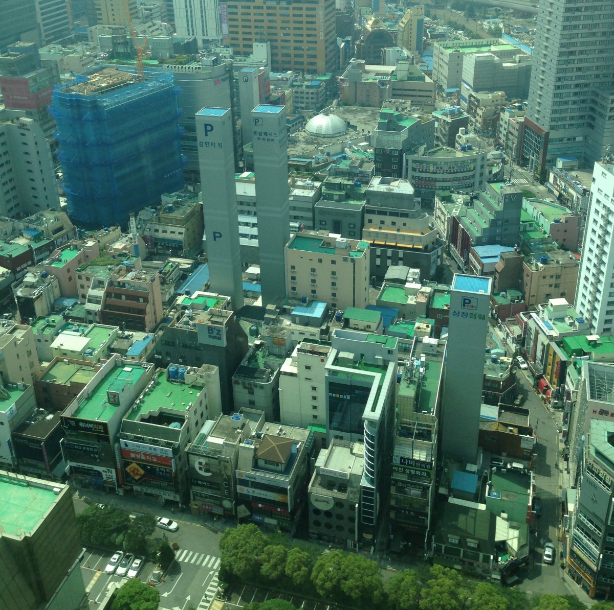 pusan4264.jpg