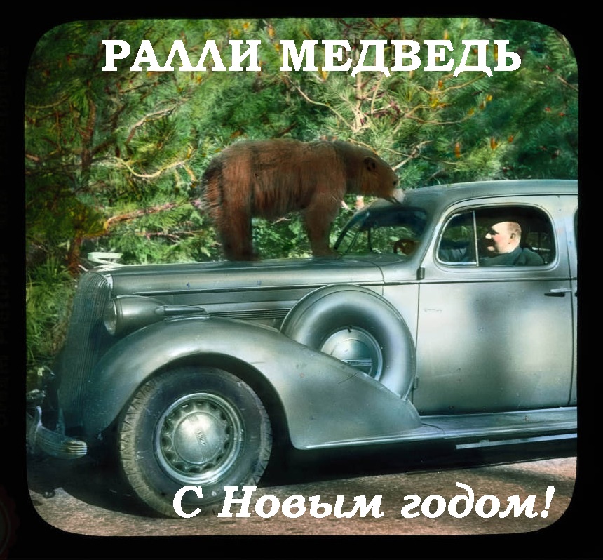 Ралли Медведь С новым годом.jpg
