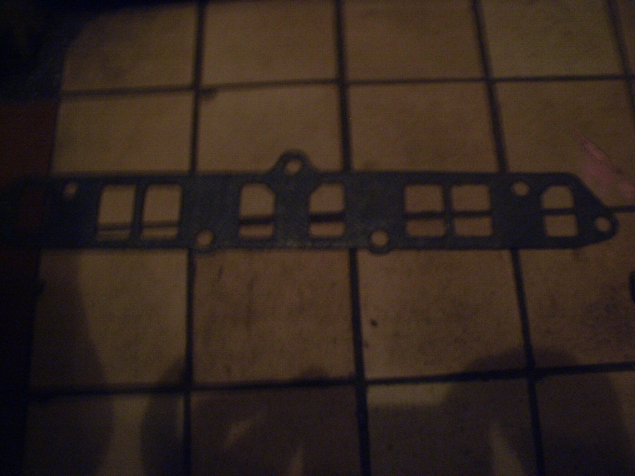 RIMG0338.JPG